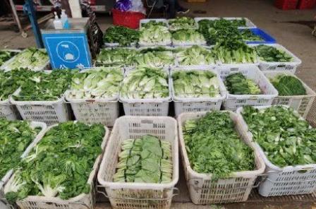 2022年北京冬奧會里的塑料新材料！